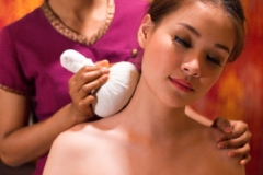 Thai Herbal Hot Compress