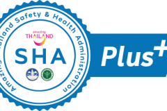 xsha-logo-plus.png.pagespeed.ic_.H_WxJAgDdz